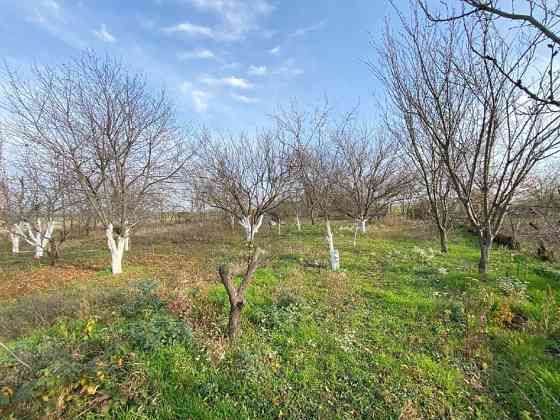 Участок ИЖС 20 сот. на продажу в Новокубанске Новокубанск