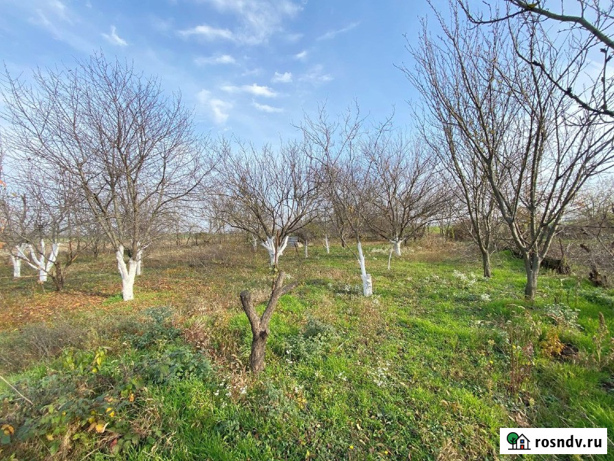 Участок ИЖС 20 сот. на продажу в Новокубанске Новокубанск - изображение 3