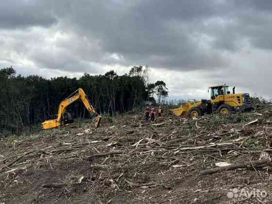 Расчистка территорий от деревьев и пней от 1 Га Ярославль