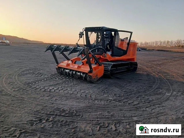 Расчистка территорий от деревьев и пней от 1 Га Ярославль - изображение 2