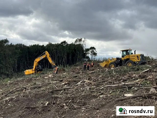 Расчистка территорий от деревьев и пней от 1 Га Ярославль - изображение 4