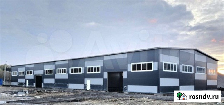 Аренда нового отапливаемого ангара 1498 кв м на парнасе возле КАД Санкт-Петербург - изображение 1