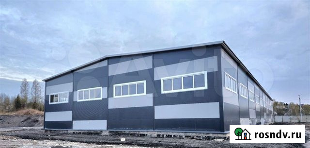 Аренда нового отапливаемого ангара 1498 кв м на парнасе возле КАД Санкт-Петербург - изображение 4