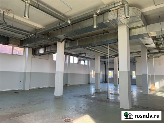 Аренда под пищевое производство и не только 2000 м2 в городе Санкт-Петербург - изображение 5