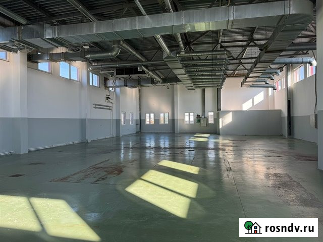 Аренда под пищевое производство и не только 2000 м2 в городе Санкт-Петербург - изображение 2