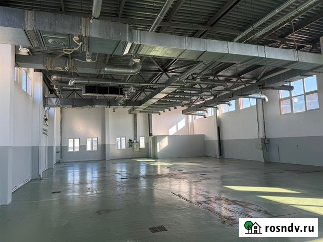 Аренда под пищевое производство и не только 2000 м2 в городе Санкт-Петербург - изображение 1