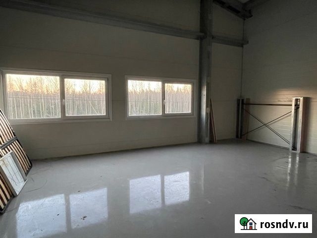 Аренда отапливаемого помещения под склад/чистое производство 2300 кв м (1150 +1160 кв м) Санкт-Петербург - изображение 3