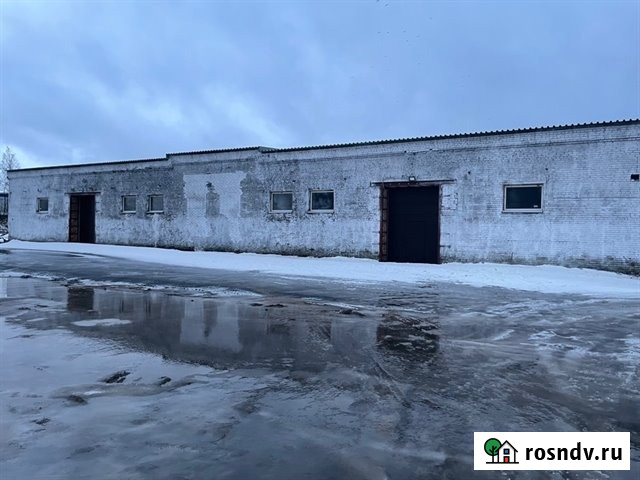 Аренда отдельно-стоящего здания 900 кв м под склад-производство Санкт-Петербург - изображение 2