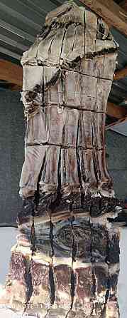 Вяленое мясо 