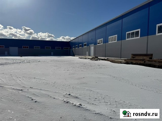 Аренда отлавливаемого ангара 2000 м² Санкт-Петербург - изображение 1