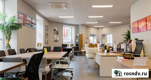 Аренда торговой площади 494 м² у м. Черная речка Санкт-Петербург - изображение 4