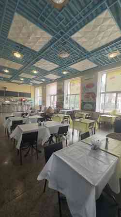 Готовый бизнес: кафе-столовая в центре Севастополь