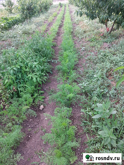 Сдается поливная земля Майкоп - изображение 1