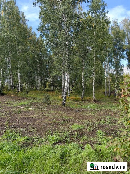 Производственная База 1, 1 Га Красноярск - изображение 4