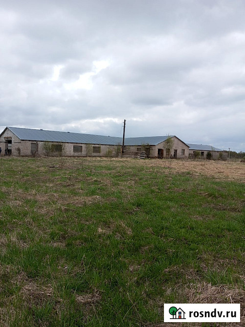 Участок СНТ, ДНП 43600 сот. на продажу в Шаховской Шаховская - изображение 4