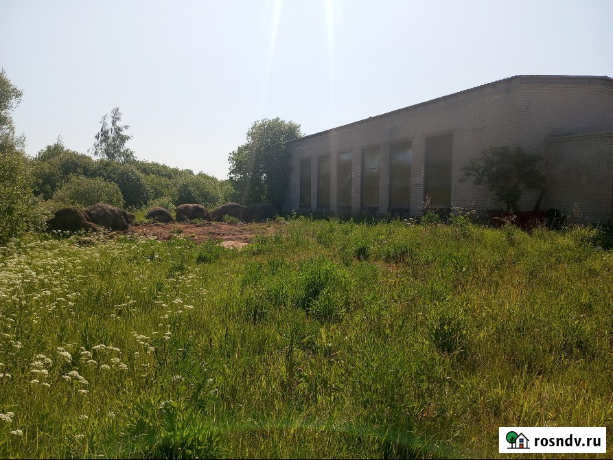 Участок СНТ, ДНП 43600 сот. на продажу в Зубцове Зубцов - изображение 5