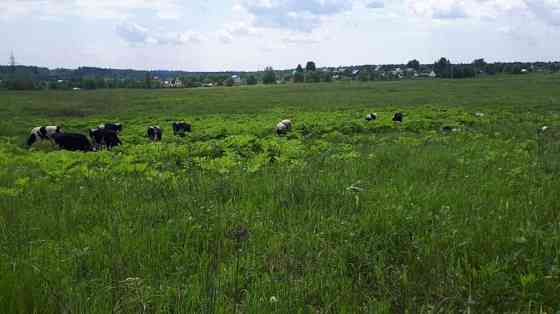 Участок СНТ, ДНП 30 сот. на продажу в Краснодаре Краснодар