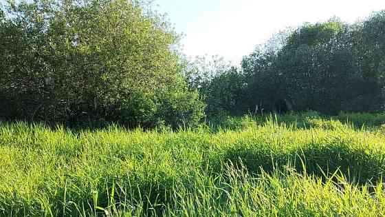 Участок ИЖС 6 сот. на продажу в Гатчине Гатчина