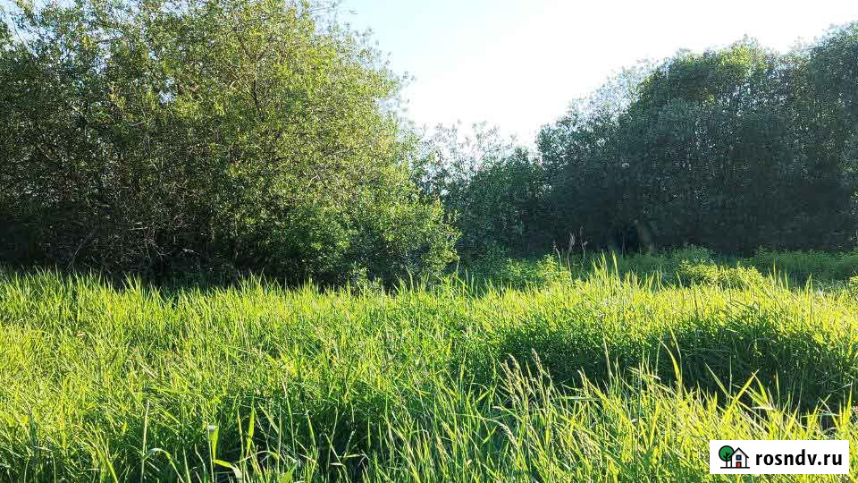 Участок ИЖС 6 сот. на продажу в Гатчине Гатчина - изображение 1