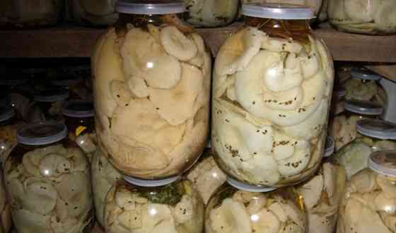 Грибы. Грузди. Белянки Соленые и Маринованные Ульяновск