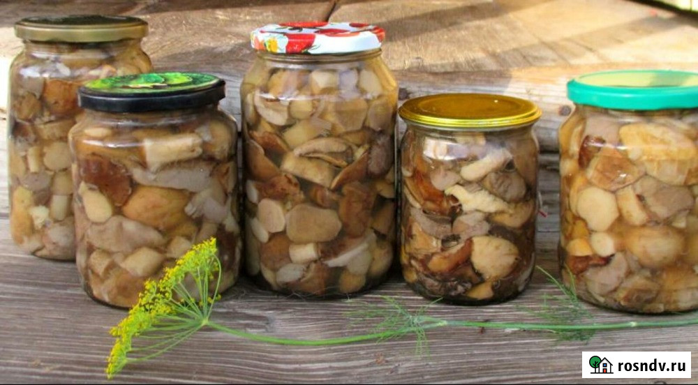 Грибы. Грузди. Белянки Соленые и Маринованные Ульяновск - изображение 4
