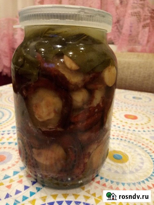 Грибы. Грузди. Белянки Соленые и Маринованные Ульяновск - изображение 2