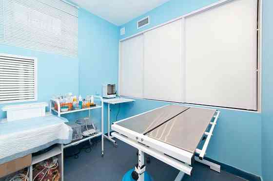 Продаю готовый прибыльный бизнес — сеть из двух ветеринарных клиник Тюмень