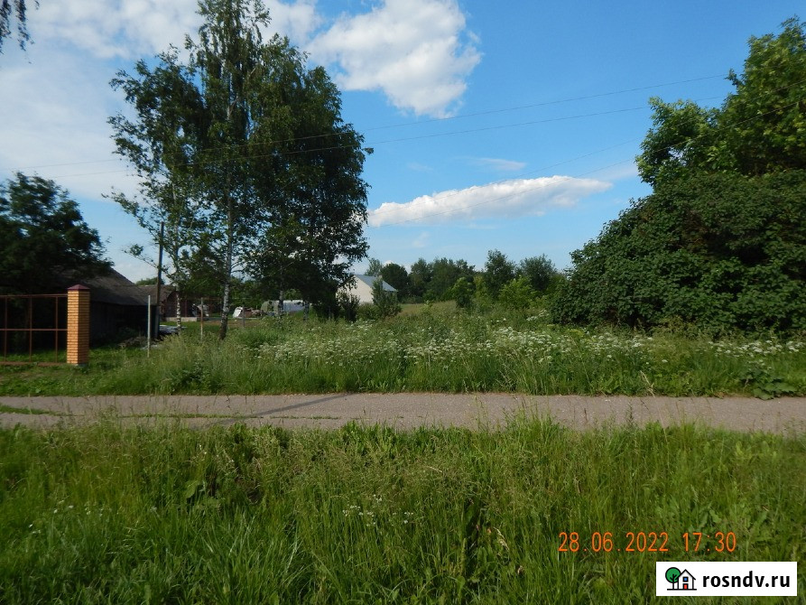 Участок ИЖС 10 сот. на продажу в Починке Починок - изображение 5