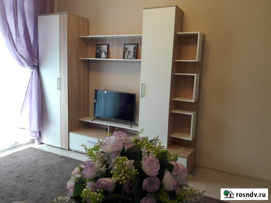 Квартира-студия, 27 м², 8/16 эт. в аренду на длительный срок в Санкт-Петербурге Санкт-Петербург - изображение 4