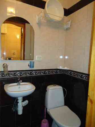 1-комнатная квартира, 25 м², 1/1 эт. в аренду посуточно в Ялте Ялта