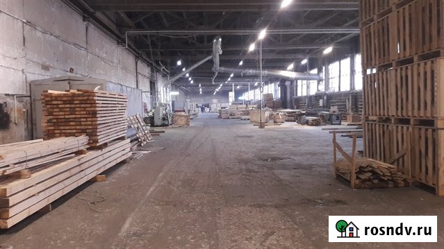 Продажа производственно-складского комплекса с арендаторами. Окупаемость 8 лет Санкт-Петербург - изображение 2