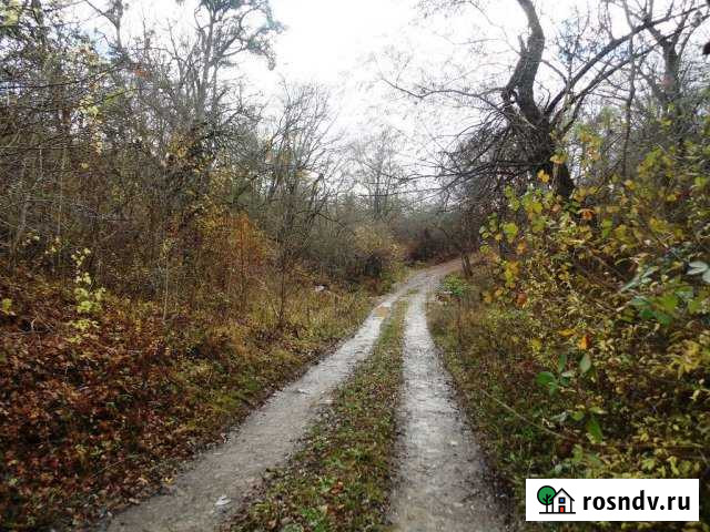 Участок СНТ, ДНП 300 сот. на продажу в Азовской Азовская - изображение 1