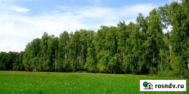 Участок СНТ, ДНП 9 сот. в аренду в Челябинске Челябинск - изображение 1