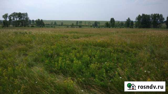 Участок СНТ, ДНП 3700 сот. на продажу в Лебяжьем Алтайского края Лебяжье - изображение 1