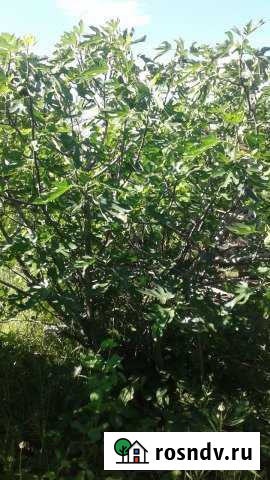 Дача 20 м² на участке 5 сот. на продажу в Каспийске Каспийск - изображение 1