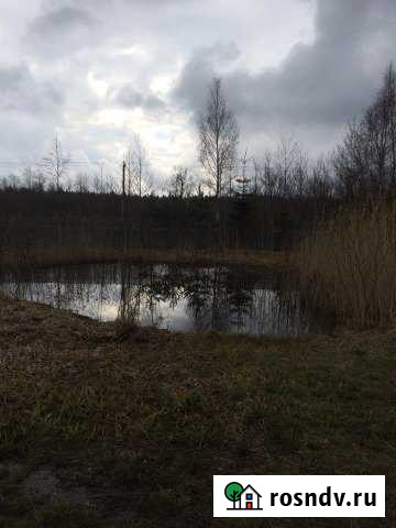 Участок СНТ, ДНП 10 сот. на продажу в Сосновом Бору Сосновый Бор - изображение 1