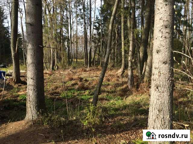 Участок ИЖС 15 сот. на продажу в Сосновом Бору Сосновый Бор - изображение 1