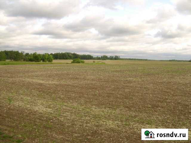 Участок СНТ, ДНП 70 сот. на продажу в Ставрово Ставрово - изображение 1