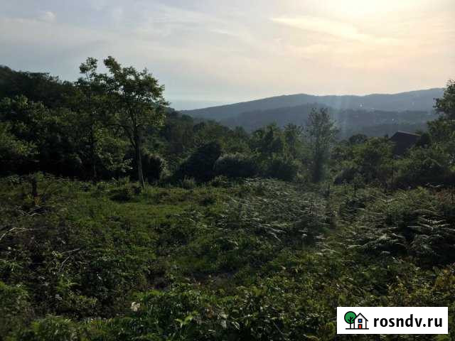 Участок СНТ, ДНП 5 сот. на продажу в Высоком Высокое - изображение 1