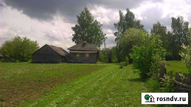 Дом 30 м² на участке 35 сот. на продажу в Орлове Орлов - изображение 1