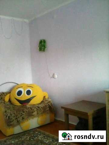 1-комнатная квартира, 29 м², 1/5 эт. на продажу в Миньяре Миньяр - изображение 1