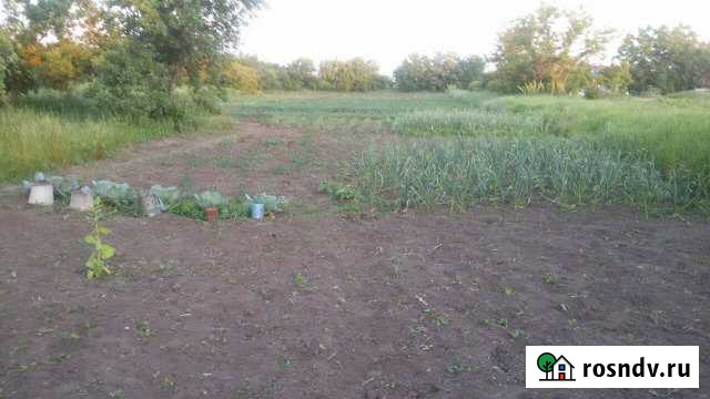 Участок ИЖС 20 сот. на продажу в Некрасовской Некрасовская - изображение 1