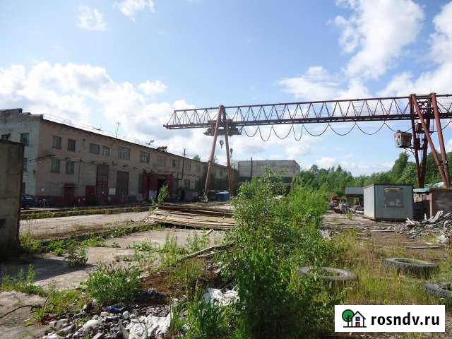 Промышленно-складской комплекс Сланцы - изображение 1