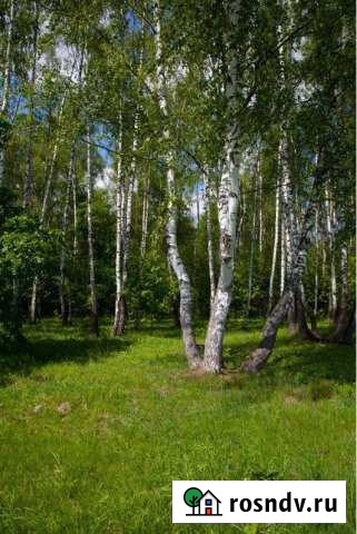 Участок ИЖС 11 сот. на продажу в Володарского Володарского - изображение 1