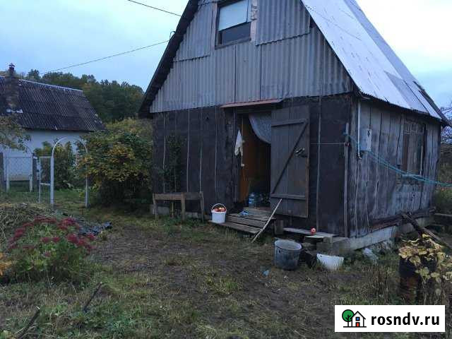 Дача 20 м² на участке 6 сот. на продажу в Южном Калининградской области Южный - изображение 1