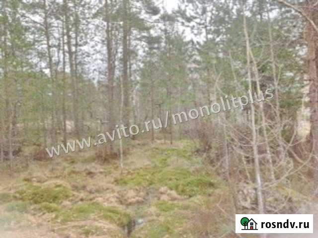 Участок ИЖС 11 сот. на продажу в Сосновом Бору Сосновый Бор - изображение 1