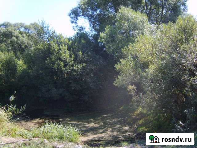 Участок ИЖС 50 сот. на продажу в Спас-Клепиках Спас-Клепики - изображение 1