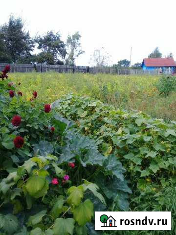 Дом 43 м² на участке 12 сот. на продажу в Буе Буй - изображение 1