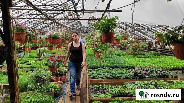 Помещение свободного назначения, 1000 кв.м. Котельники - изображение 1