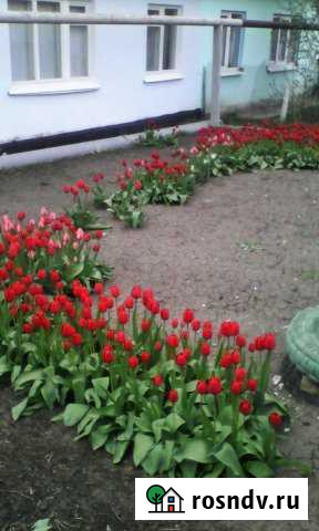 Дом 127 м² на участке 7 сот. на продажу в Чапаевске Чапаевск - изображение 1